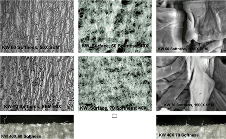 Figure 7. See the Small Difference Evaluation 2 above for analysis details of these photographs