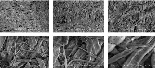 Figure 4. SEM photographs of the top surface of a sheet with magnifications ranging from 50X to 1500X. Following in Phase 2 you will see the very significant findings of this high magnification study