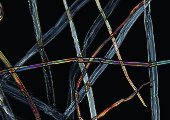 Fibre images in a dark field circular polariscope