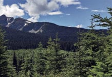 New technology for the circular economy Climate control: Canfor maintains forest certification on the 23 million hectares of forest licenses in Canada.
