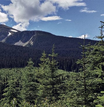 New technology for the circular economy Climate control: Canfor maintains forest certification on the 23 million hectares of forest licenses in Canada.