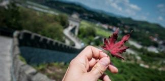 Impacts of China’s trade policies – on China China_Tissue_World_Magazine