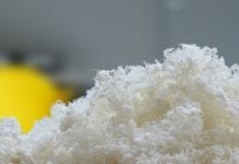 State-of-the-art mill to produce premium pulp UPM Pulp