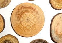 Efficient wood supply and logistics Efficient wood supply and logistics
