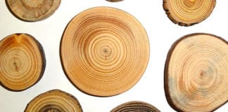 Efficient wood supply and logistics Efficient wood supply and logistics