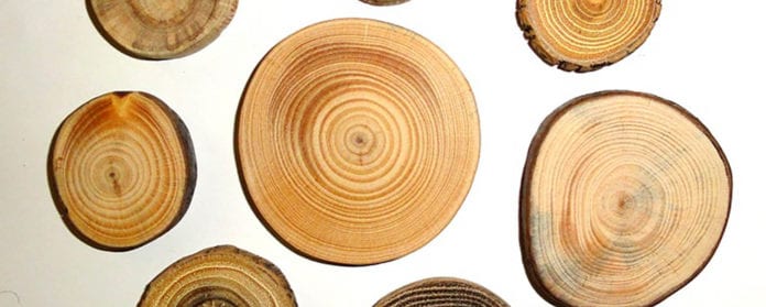 Efficient wood supply and logistics Efficient wood supply and logistics