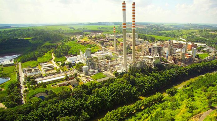 suzano_tissue_world_magazine Suzano has made a series of pulp price increases for its bleached eucalyptus kraft products.