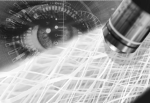 BTG launches online morphology analyser SPM Morphology analyser