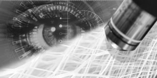 BTG launches online morphology analyser SPM Morphology analyser