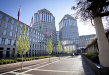 P&G reports “solid” results with 5% net sales increase