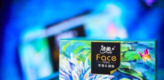 Special Focus: How Chinese tissue performed in 2021… and its development targets for 2022