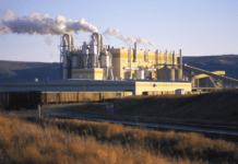 Canfor Pulp extends Taylor Pulp product curtailment