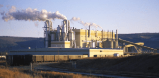 Canfor Pulp extends Taylor Pulp product curtailment