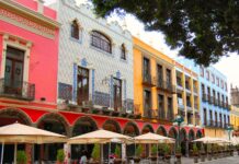 Euromonitor: A strong tissue culture, regionally stable Mexico well placed to react to economic uncertainties ahead