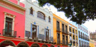 Euromonitor: A strong tissue culture, regionally stable Mexico well placed to react to economic uncertainties ahead