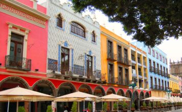 Euromonitor: A strong tissue culture, regionally stable Mexico well placed to react to economic uncertainties ahead