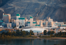 Kruger confirms Kamloops pulp mill purchase