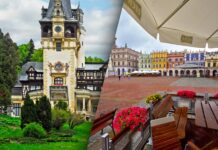 Poland & Romania: From a low base, both countries are developing a robust consumer-driven product economy that includes increasing tissue consumption approaching the EU average