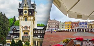 Poland & Romania: From a low base, both countries are developing a robust consumer-driven product economy that includes increasing tissue consumption approaching the EU average