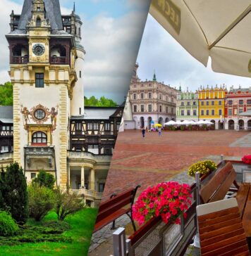 Poland & Romania: From a low base, both countries are developing a robust consumer-driven product economy that includes increasing tissue consumption approaching the EU average