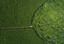 Range of pulp price increases announced by world’s producers