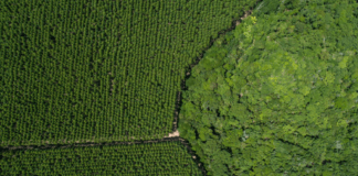 Range of pulp price increases announced by world’s producers