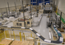 Suzano boosts capacity with 60,000tpy Espírito Santo plant