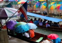 Domestic consumer tissue demand is outpacing Thailand’s home production capacity