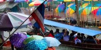Domestic consumer tissue demand is outpacing Thailand’s home production capacity