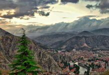 Even in a stressed economy Turkey’s tissue is poised to survive and thrive