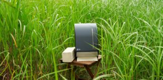 WEPA first to use Miscanthus in production of hygiene paper; introduces second innovation using recycled cardboard