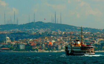 As economic challenges increase, Turkish tissue looks for growth in private label, value for money products, local production, discounting, energy savings, and cutting-edge in research
