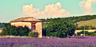 FRANCE COUNTRY REPORT: tissue business update – consequences of 2022 energy disruption: greater reliance on nuclear power means higher risks over electric power costs