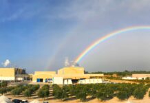 OPERATIONS REPORT Essity Valls: After the ‘big evolution’ the market is stabilising again