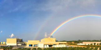 OPERATIONS REPORT Essity Valls: After the ‘big evolution’ the market is stabilising again