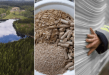 Södra investigating possibilities of agricultural-enhanced softwood pulp “A ground-breaking new pulp”: Södra investigates possibilities of agricultural-enhanced softwood pulp