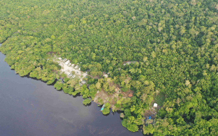 Suzano and Sofidel join forces in landmark pilot programme. Image: ©Fabio Liggeri