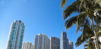 Tissue World Miami 2024 – the countdown has started!