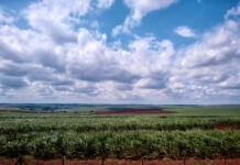 Suzano signs up Andritz for maintenance on new Ribas do Rio Pardo plant