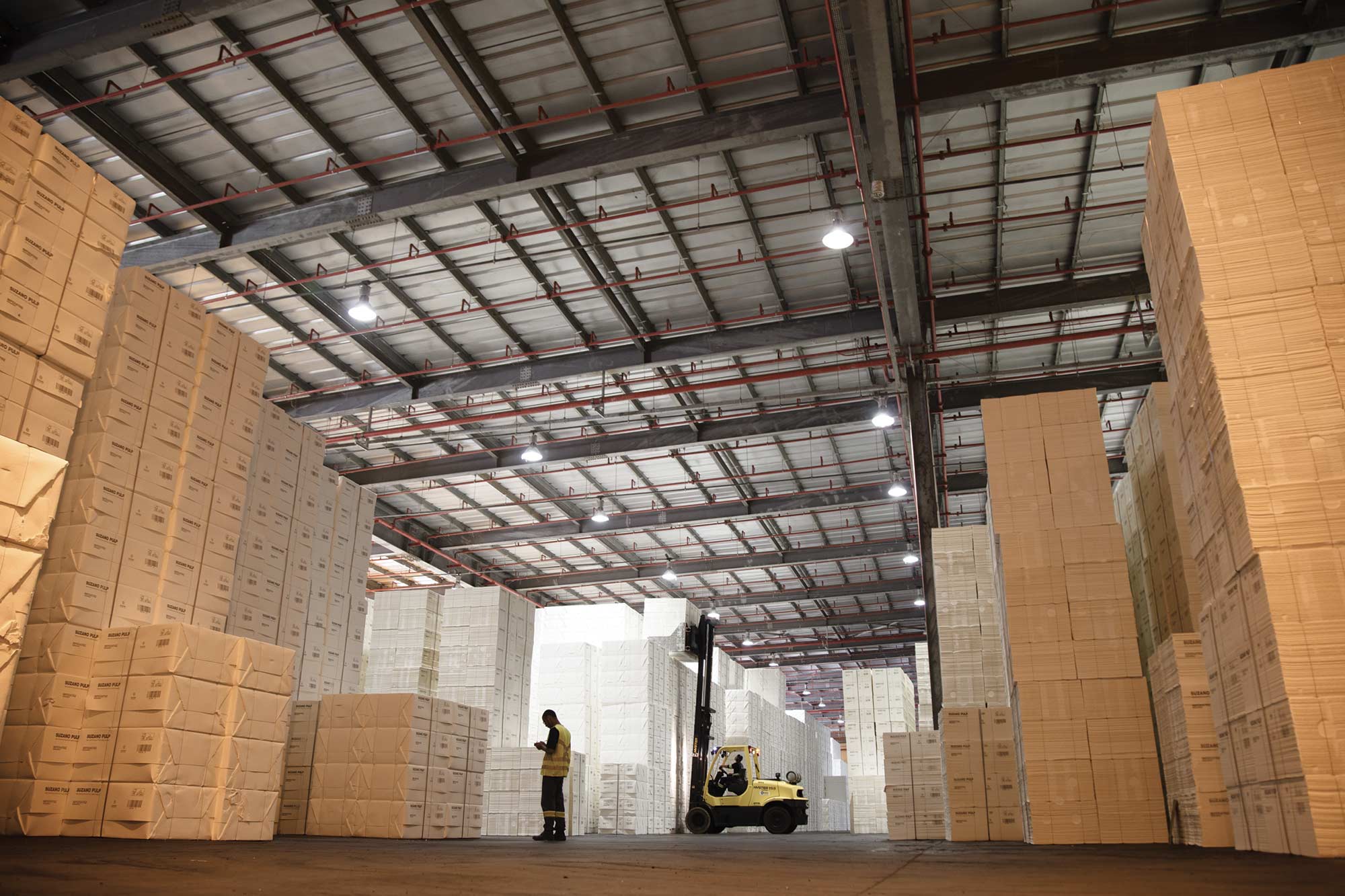 A world-leading eucalyptus pulp producer: Suzano expanded its tissue manufacturing capacity after acquiring Kimberly-Clark’s Brazilian tissue business assets in 2023