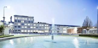 Sofidel commits to net zero by 2050