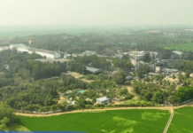 Andhra Paper diversifies into tissue with TM investment