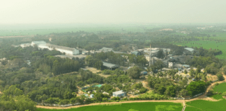 Andhra Paper diversifies into tissue with TM investment