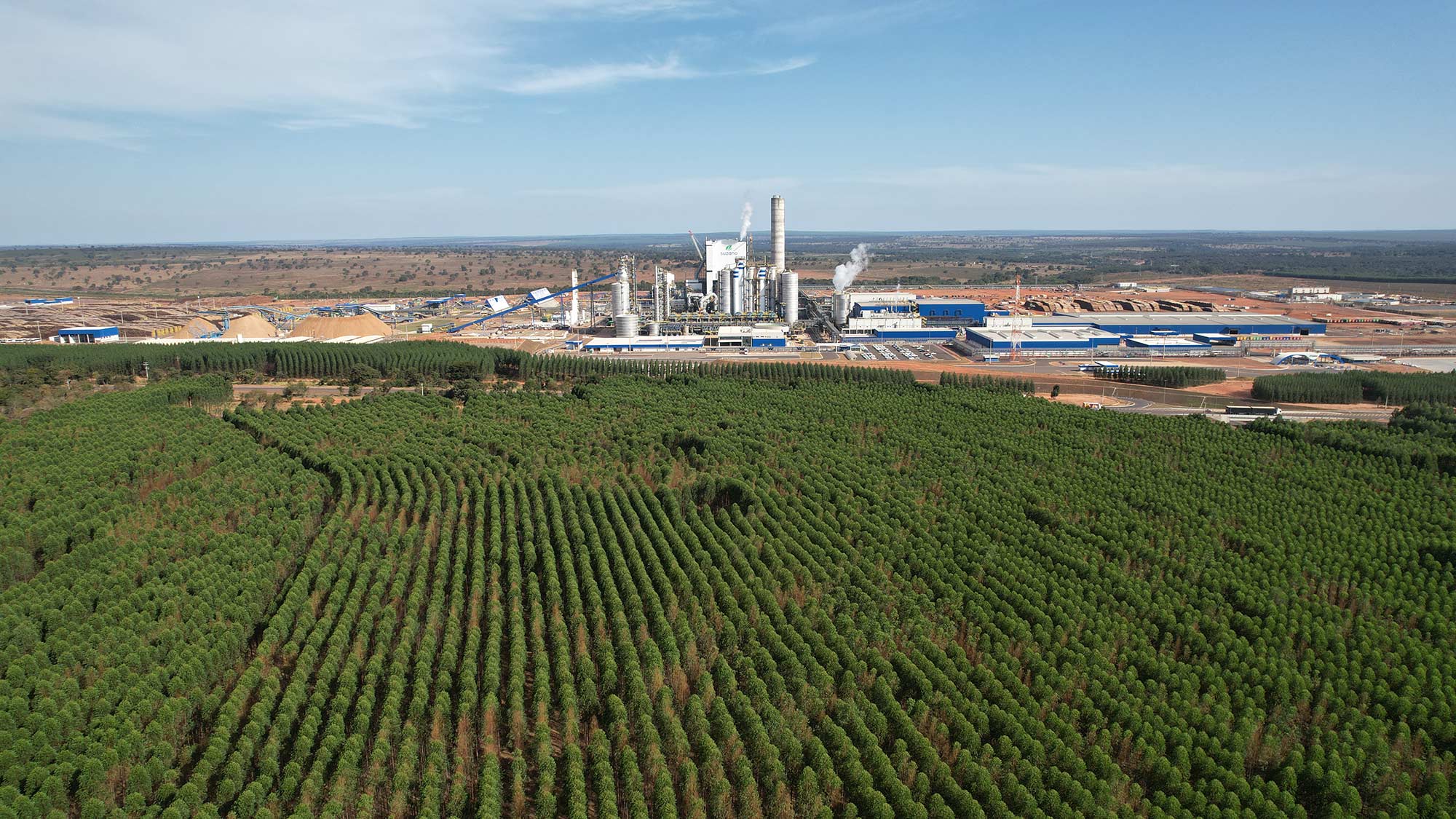Suzano’s pulp mill in Ribas do Rio Pardo: the plant was started up by Andritz on 8 August 2024