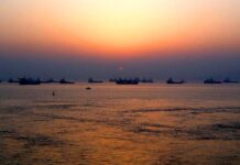 INDIA COUNTRY REPORT: Tissue consumption is rising slowly … but a tenfold increase would still leave it below the world average Image: Mumbai CC