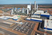 Suzano reports record Q4 and FY sales; reaches nominal capacity in “record time” on R$4.5bn Cerrado Project