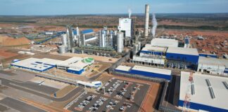 Suzano reports record Q4 and FY sales; reaches nominal capacity in “record time” on R$4.5bn Cerrado Project