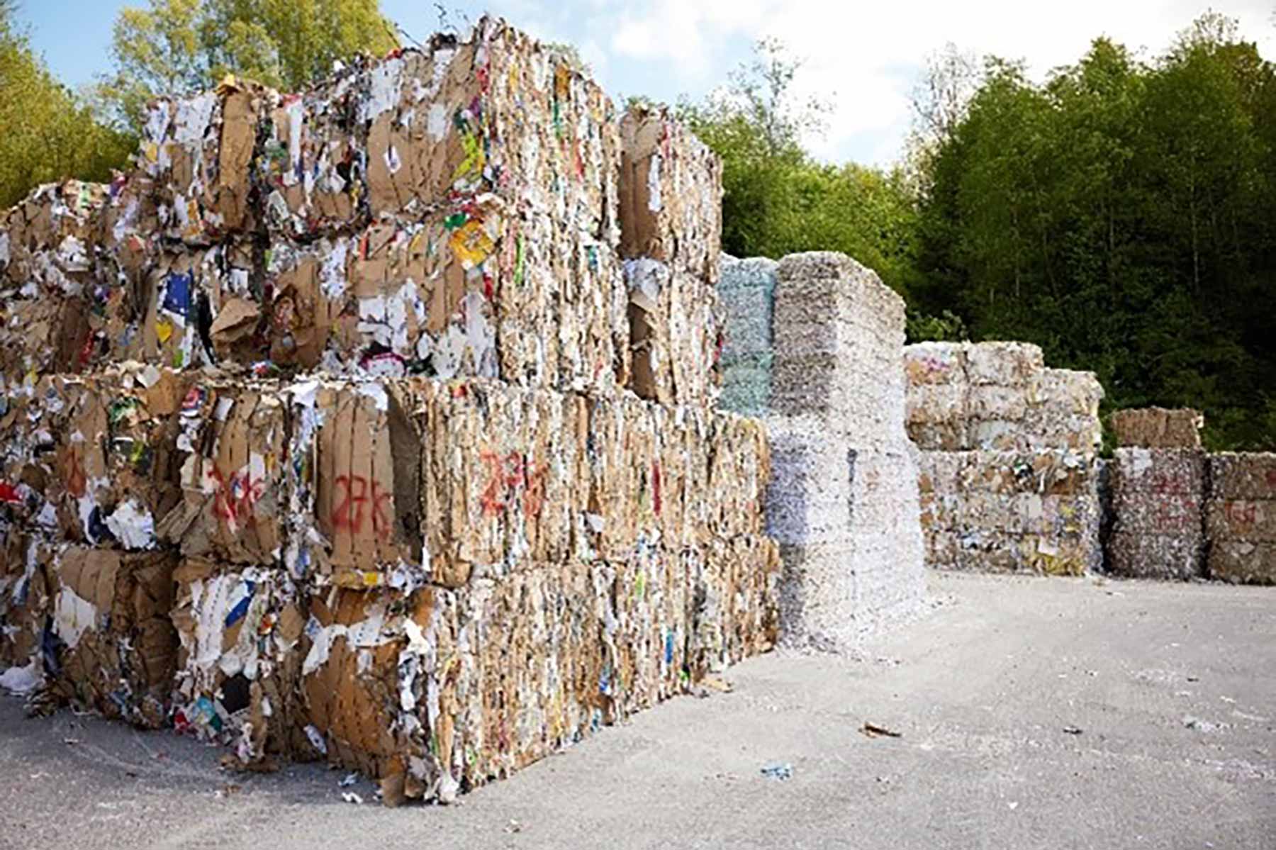 European first: WEPA says it is the first manufacturer in Europe producing hygiene paper out of recycled cardboard on a large scale European first: WEPA says it is the first manufacturer in Europe producing hygiene paper out of recycled cardboard on a large scale