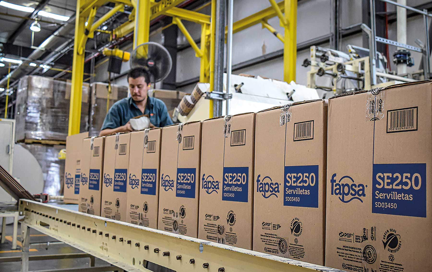 Capacity expansion: Mexican consumers continue to become more hygiene-conscious; below, PSF is launching “Truly Green” this Autumn, an environmentally-friendly brand made with 100% post-consumer fibre
